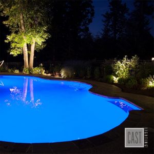 Landscape Lighting