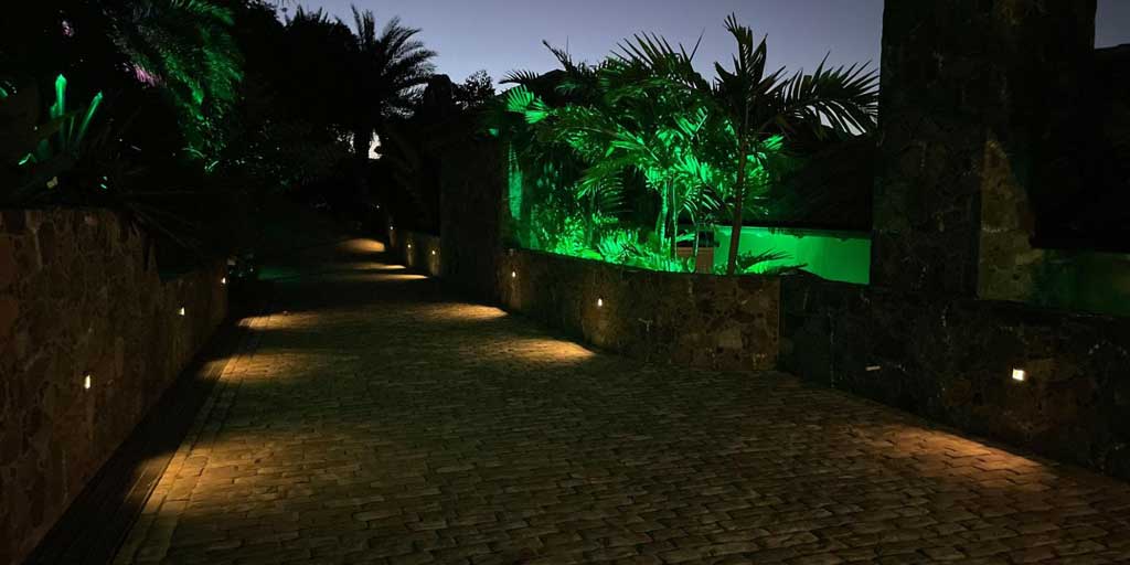 path-illuminated-with-trees-lit-green