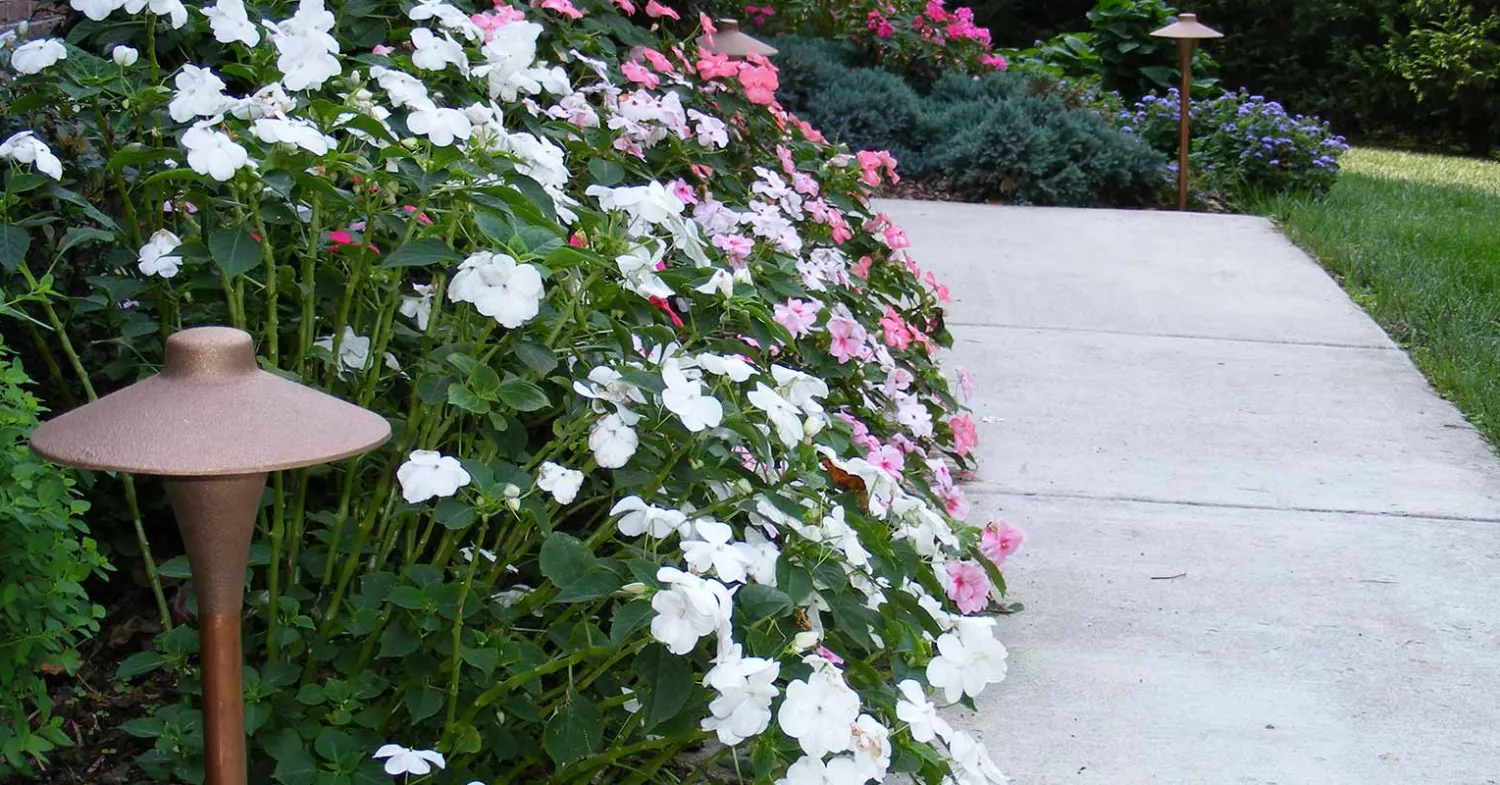 5 Tips to Brighten Your Winter Landscape in the Southwest