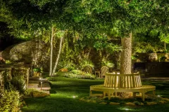 A Concise Guide to Tree Uplighting